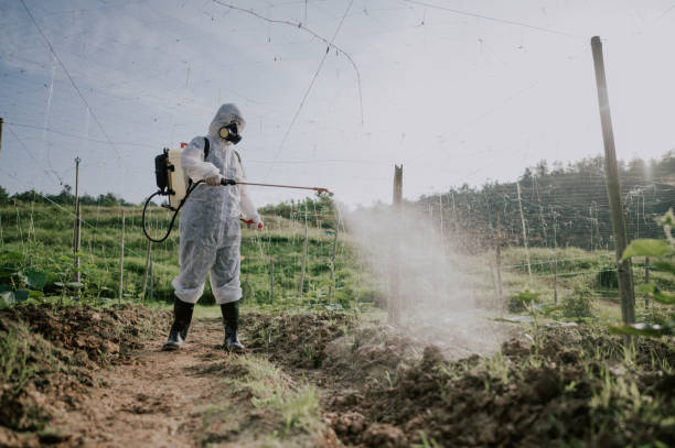 Best Pest Control Treatment  in Plainfield, NJ