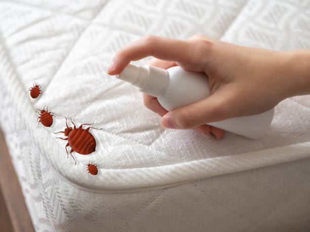 Best Commercial Pest Control Services  in Plainfield, NJ