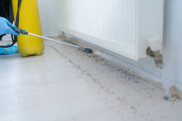 Best Mosquito Control Services  in Plainfield, NJ