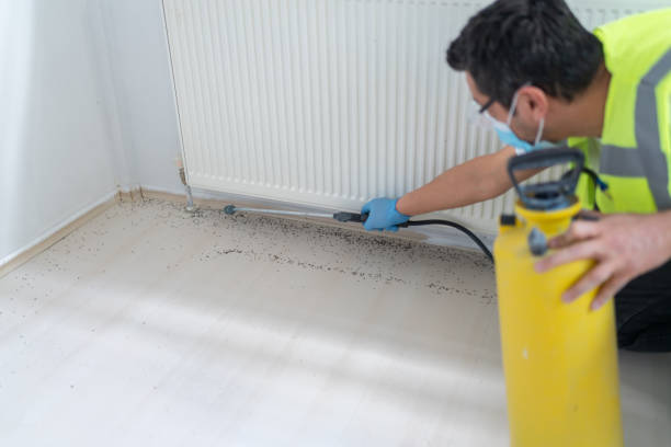 Best Commercial Pest Control Services  in Plainfield, NJ