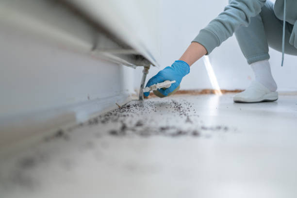 Best Pest Inspection Near Me  in Plainfield, NJ