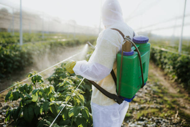 Best Emergency Pest Control  in Plainfield, NJ